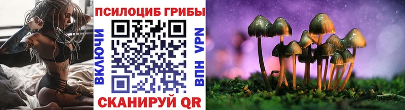 площадка клад Чебаркуль Галлюциногенные грибы Magic Shrooms