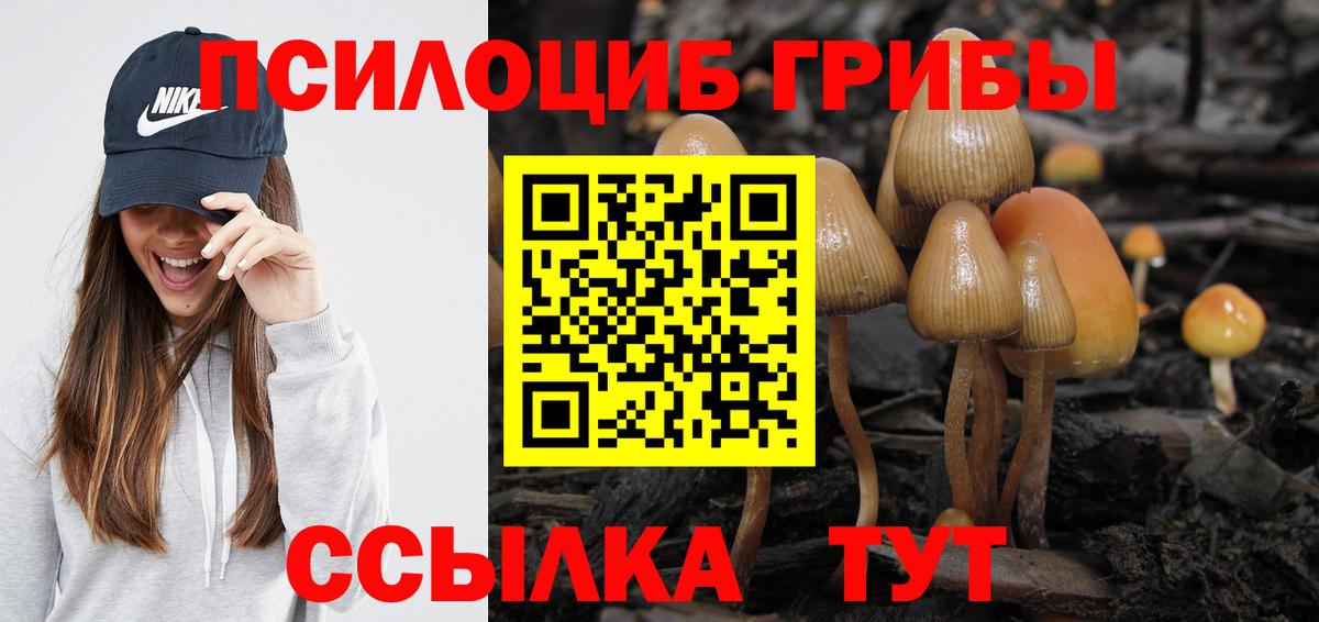 Галлюциногенные грибы прущие грибы Чебаркуль